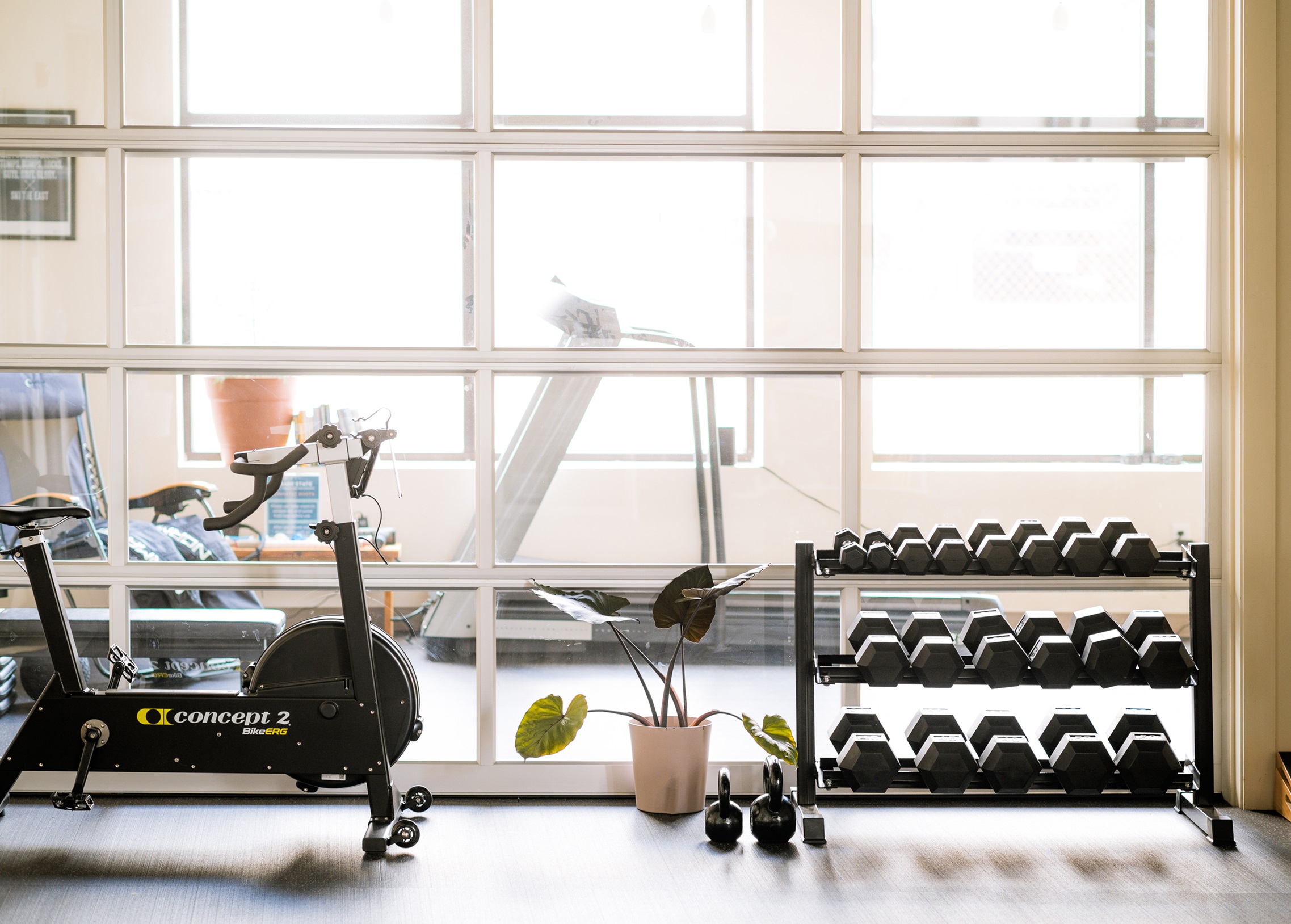 A bike, treadmill, and dumbbells in the Equipment Room at Steady State.