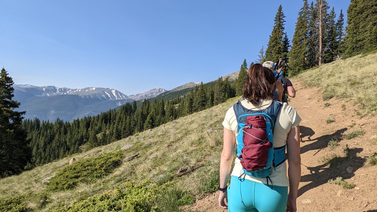 Hikers on a trail in the mountains in the summer.